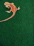 Komodo Alfombra de Piel de Serpiente,