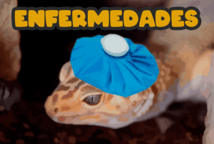 Las enfermedades más comunes que pueden tener