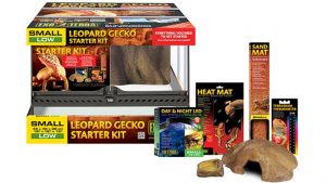 kit terrario gecko leopardo de exo terra