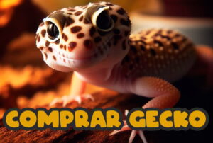 comprar gecko leopardo imagen menu