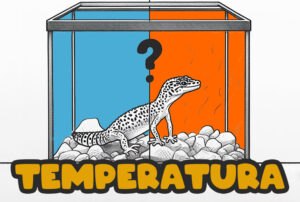 temperatura gecko leopardo